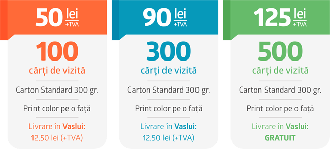carti de vizita vaslui