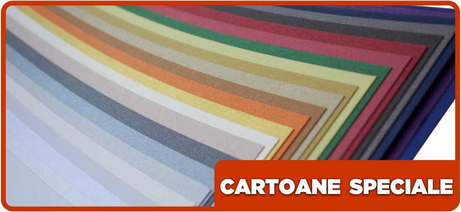 cartoane speciale
